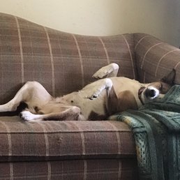 Ripley agrees! Ripley agrees!