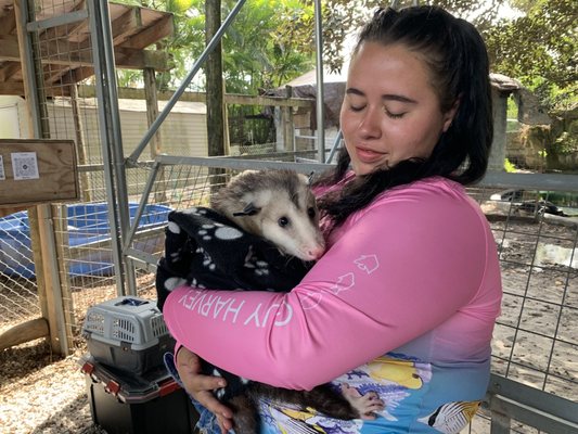 Everglades Outpost by null