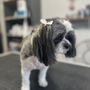 Photo of Sherry's K9 Creations