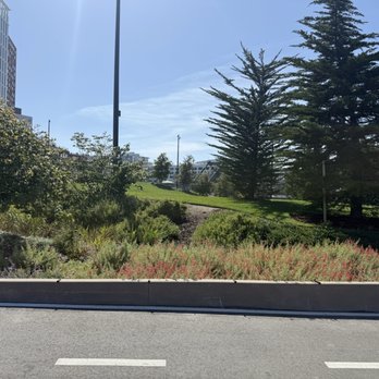 China Basin Park - Photo 8: Great Lawn - Parks Near Me - San Francisco, California China Basin Park - Photo 8: Great Lawn - Parks Near Me - San Francisco, California
