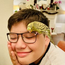 My son and his bird JoJo My son and his bird JoJo