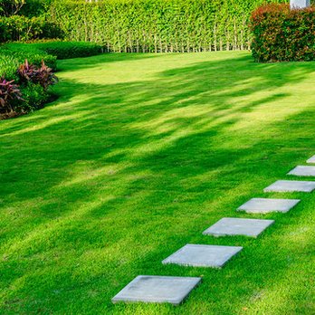 JD Construction Landscape - a lawn with stepping stones - Landscaping Near Me JD Construction Landscape - a lawn with stepping stones - Landscaping Near Me
