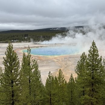 Jackson Hole Wildlife Safaris - Tours Near Me - Jackson, Wyoming