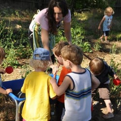 Juniper Tree PlaySchool