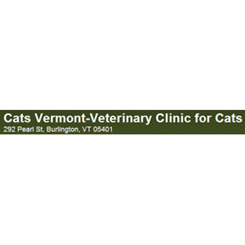Cats Vermont-Veterinary Clinic for Cats - pet boarding facility in Burlington, VT