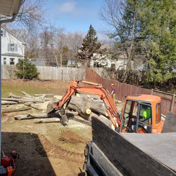 D&B Diversified Services - Tree Services Near Me D&B Diversified Services - Tree Services Near Me