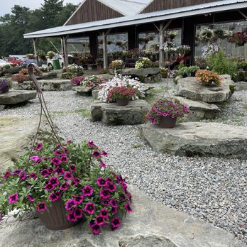Beth's Farm Market - a variety of flowers - Farmers Market Near Me - Warren, Maine Beth's Farm Market - a variety of flowers - Farmers Market Near Me - Warren, Maine