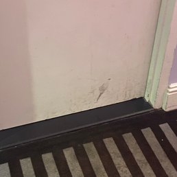 Dirty walls and carpet Dirty walls and carpet