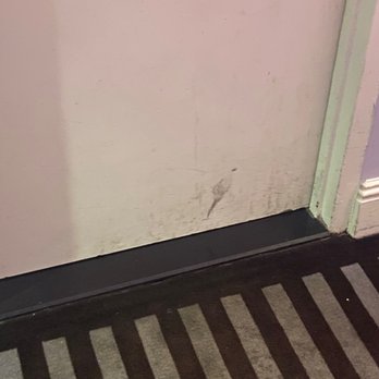 The Andrew Hotel - Dirty walls and carpet - Hotels Near Me - Great Neck, New York The Andrew Hotel - Dirty walls and carpet - Hotels Near Me - Great Neck, New York