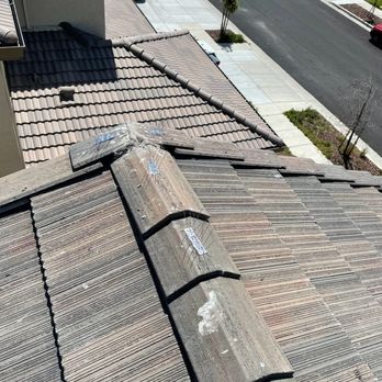Lukas Pigeon Removal & Gutter Cleaning - Gutter Services Near Me Lukas Pigeon Removal & Gutter Cleaning - Gutter Services Near Me