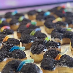 We Knead Donut - Littleton