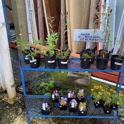 McMinnville Area Habitat For Humanity Restore - Hidden garden and plant gem!