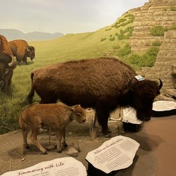 First Peoples Buffalo Jump State Park