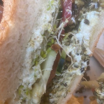 Active Culture - Vegan burger - Vegetarian Near Me - Novato, California Active Culture - Vegan burger - Vegetarian Near Me - Novato, California