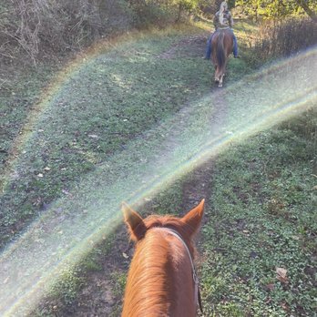 Rolling Hills Ranch - Horseback Riding Near Me - Bridgeville, Pennsylvania Rolling Hills Ranch - Horseback Riding Near Me - Bridgeville, Pennsylvania