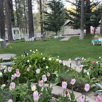 Apples Bed & Breakfast Inn - One of the several tulip gardens on the grounds - Hotels Near Me - Big Bear Lake, California Apples Bed & Breakfast Inn - One of the several tulip gardens on the grounds - Hotels Near Me - Big Bear Lake, California