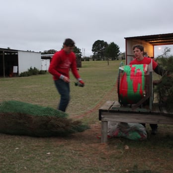 Elgin Christmas Tree Farm - Christmas Trees Near Me - Elgin, Texas