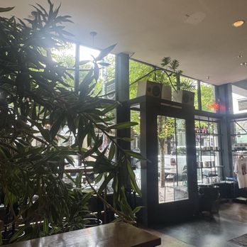 Barista - Coffee & Tea Near Me - Portland, Oregon Barista - Coffee & Tea Near Me - Portland, Oregon