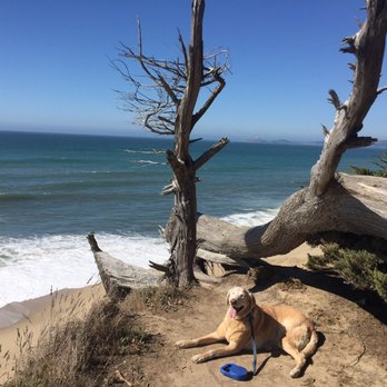 Wavecrest Open Space - Beaches Near Me - Half Moon Bay, California