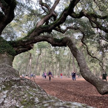 Angel Oak - Parks Near Me - Johns Island, South Carolina