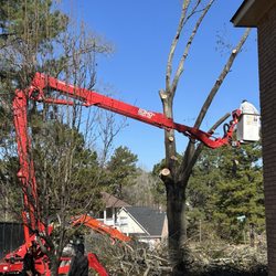 Woods Tree Service