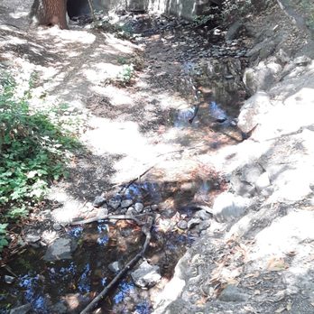 Stulsaft Park - creek - Parks Near Me - Redwood City, California Stulsaft Park - creek - Parks Near Me - Redwood City, California