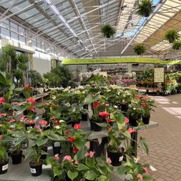 All your gardening needs All your gardening needs