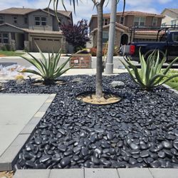 Vidal Landscaping