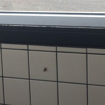Waffle House - Roach Alert - Diners Near Me - Norfolk, Virginia Waffle House - Roach Alert - Diners Near Me - Norfolk, Virginia