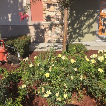 Emerald Landscape Company - Irrigation Near Me - Livermore, California Emerald Landscape Company - Irrigation Near Me - Livermore, California