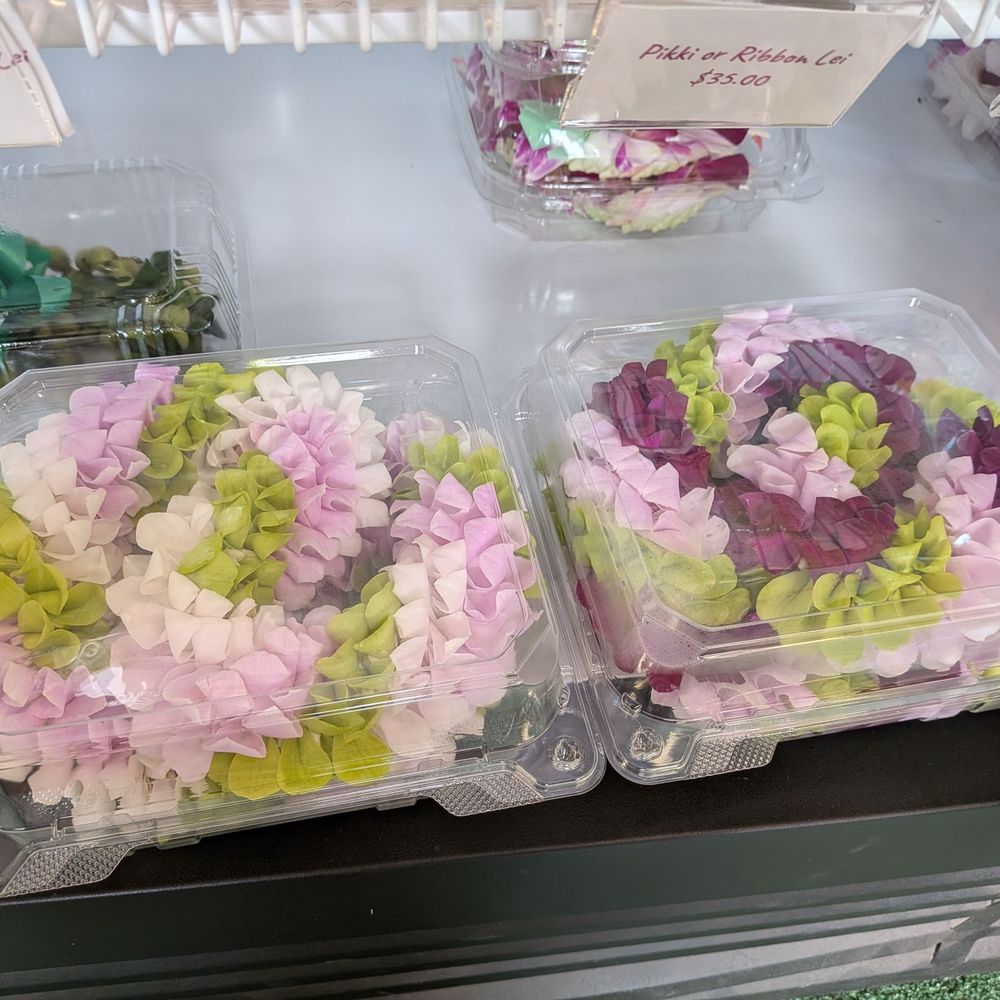 Paradise Leis - This is my favorite $40 Spiral! You can even customize what colors! - Florists Near Me - Honolulu, Hawaii Paradise Leis - This is my favorite $40 Spiral! You can even customize what colors! - Florists Near Me - Honolulu, Hawaii