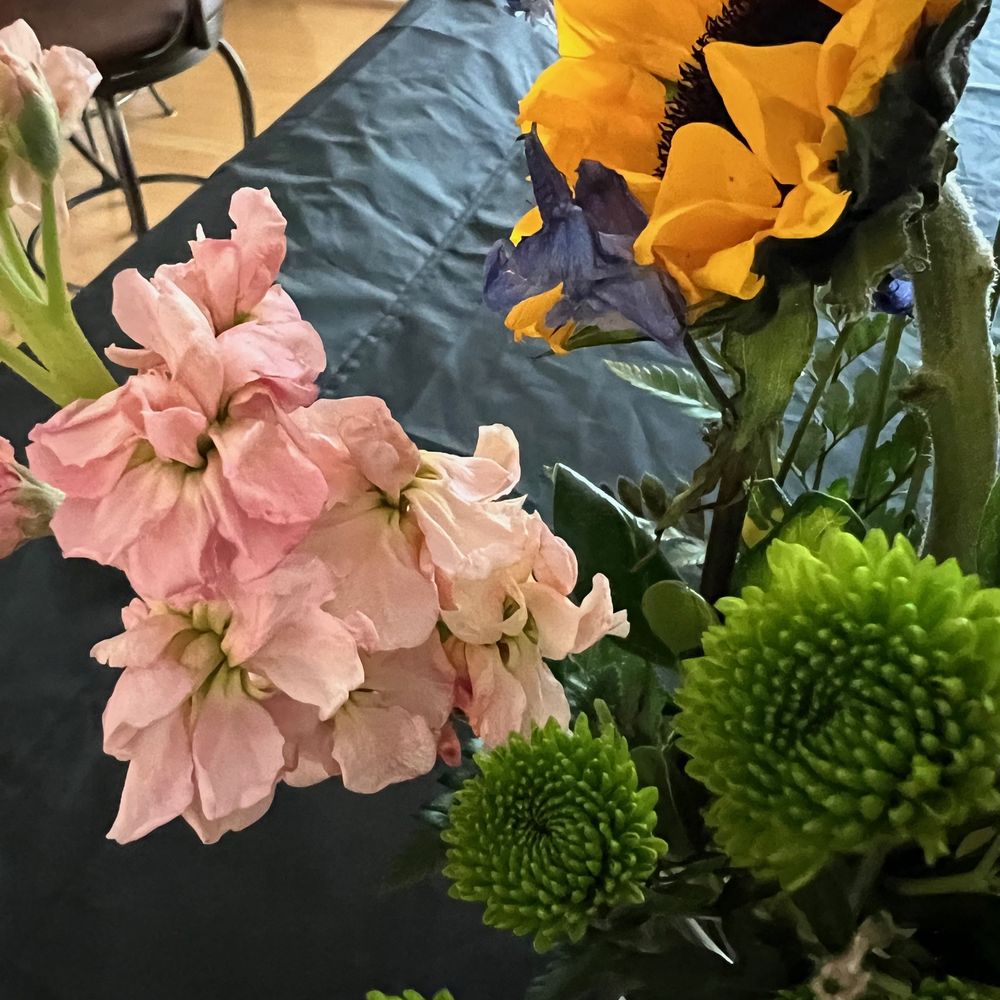 Miracle Flowers - DELIVERED WILTED! - Florists Near Me - sacramento, California Miracle Flowers - DELIVERED WILTED! - Florists Near Me - sacramento, California