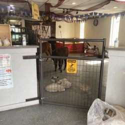Aunt B’s Barn - The main animal room