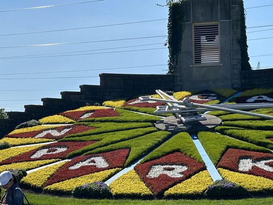 Floral Clock by null