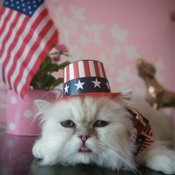 ruby clippers pet grooming