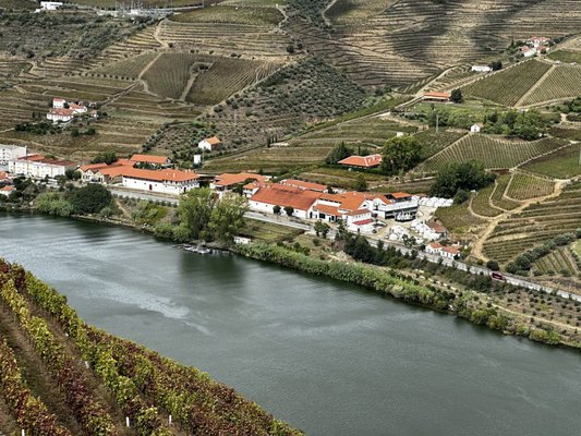 Quinta do Bomfim by null