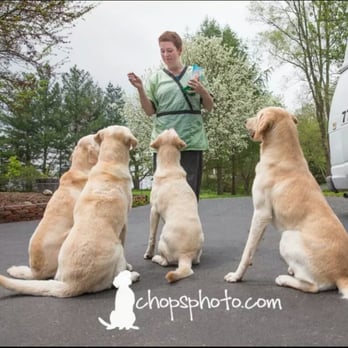 Erin's Mobile Pet Grooming - Taming the beasts or really great treats? - Pet Groomers Near Me Erin's Mobile Pet Grooming - Taming the beasts or really great treats? - Pet Groomers Near Me