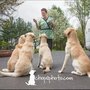 Photo of Erin's Mobile Pet Grooming