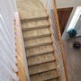 Healthy Carpet Care