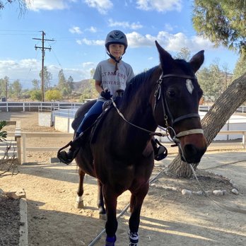 Sterling Hill Riding Academy - Trained hard today. - Horseback Riding Near Me - Murrieta, California