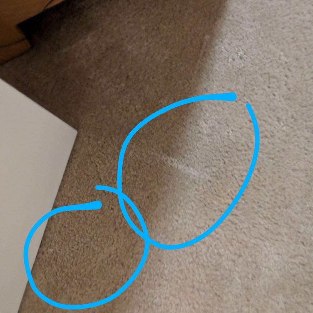 Kitchen And Bath Solutions - Paint on carpet - General Contractors Near Me - New Braunfels, Texas