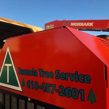 Tanzola Tree Service - Crane Services Near Me - Downingtown, Pennsylvania Tanzola Tree Service - Crane Services Near Me - Downingtown, Pennsylvania