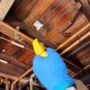 Photo of Clean CrawlSpace