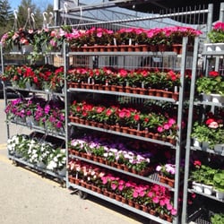Battaglias Marketplace - Flowers for sale