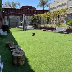 SoFA Pocket Park - Doggy park