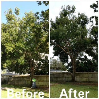 Saunders Property Maintenance - before and after - Tree Services Near Me