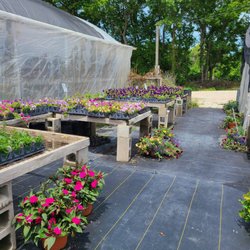 Hains Greenhouses