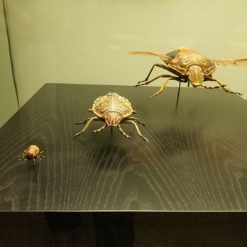 Museum für Naturkunde - Life cycle of something I never want to see - Museums Near Me - Berlin, BE Museum für Naturkunde - Life cycle of something I never want to see - Museums Near Me - Berlin, BE