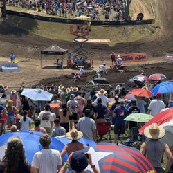 Red Bud Track'n Trail