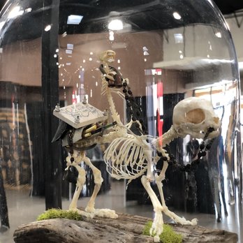 Expo New Mexico - Venues & Event Spaces Near Me - Albuquerque, New Mexico